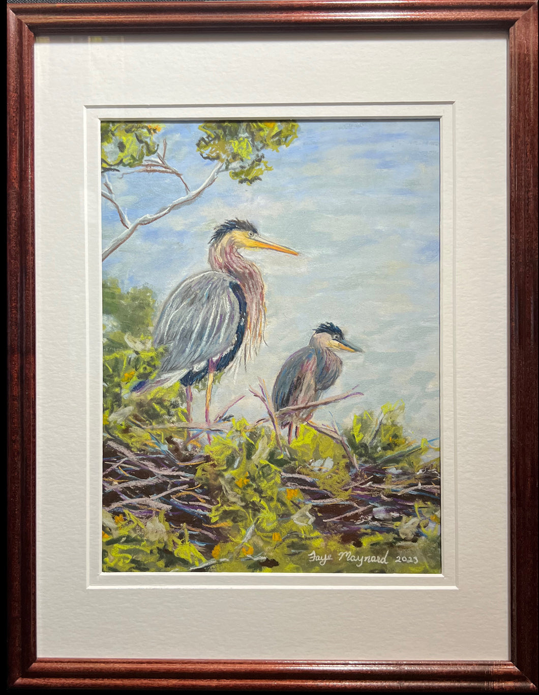 Herons