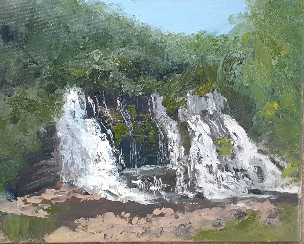 Suzanne LeBeau: Saturday, March 22 - Plein Air 101