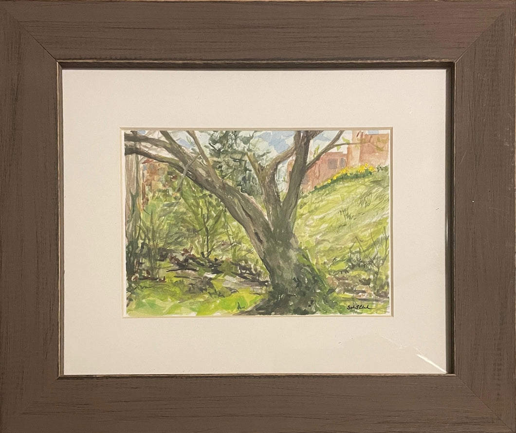 Spring Tree