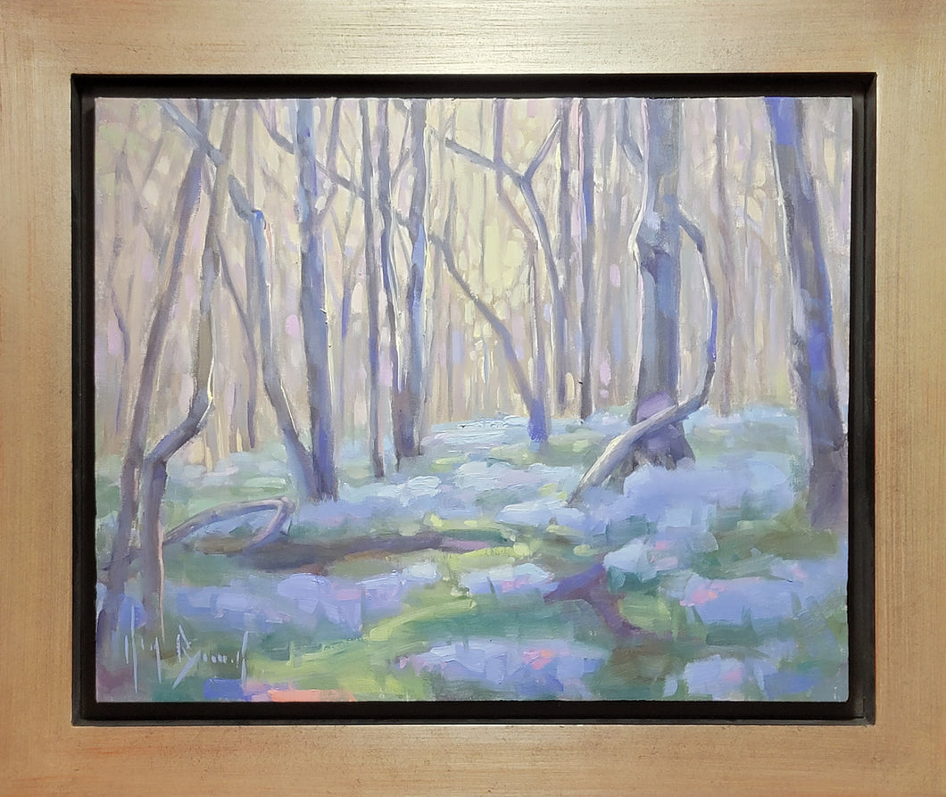 Dreaming in Bluebells