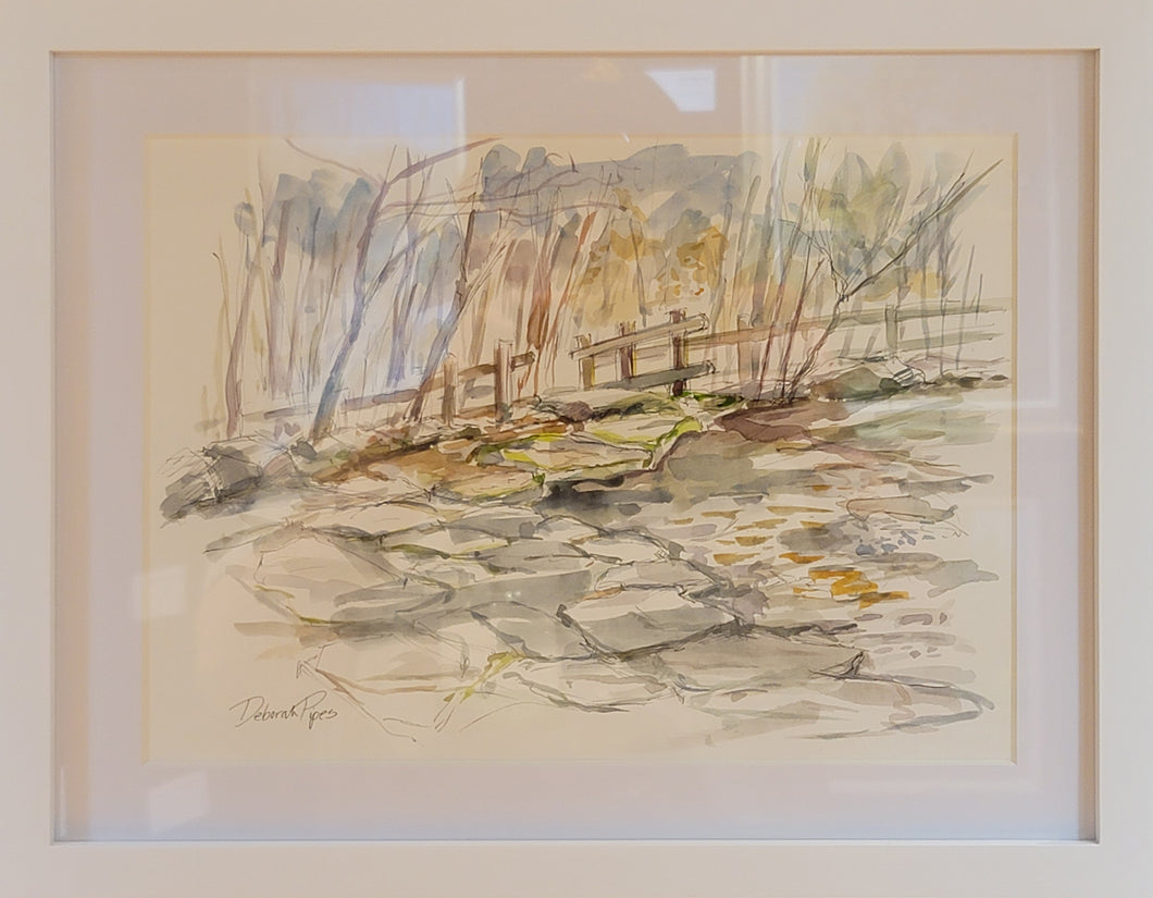 Frog Pond