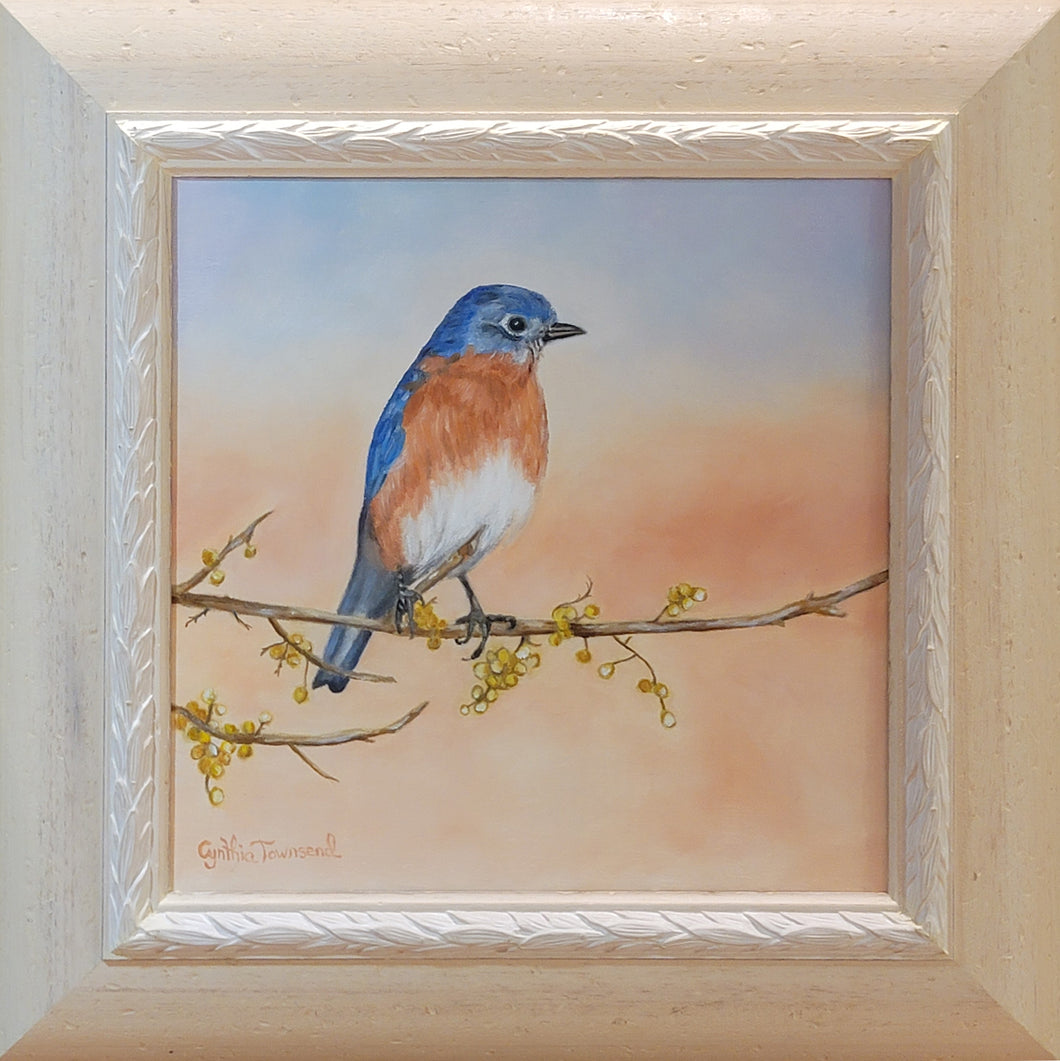 Bluebird