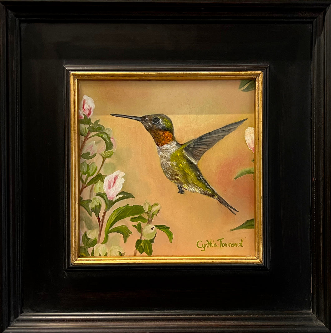 Ruby Throated Hummer